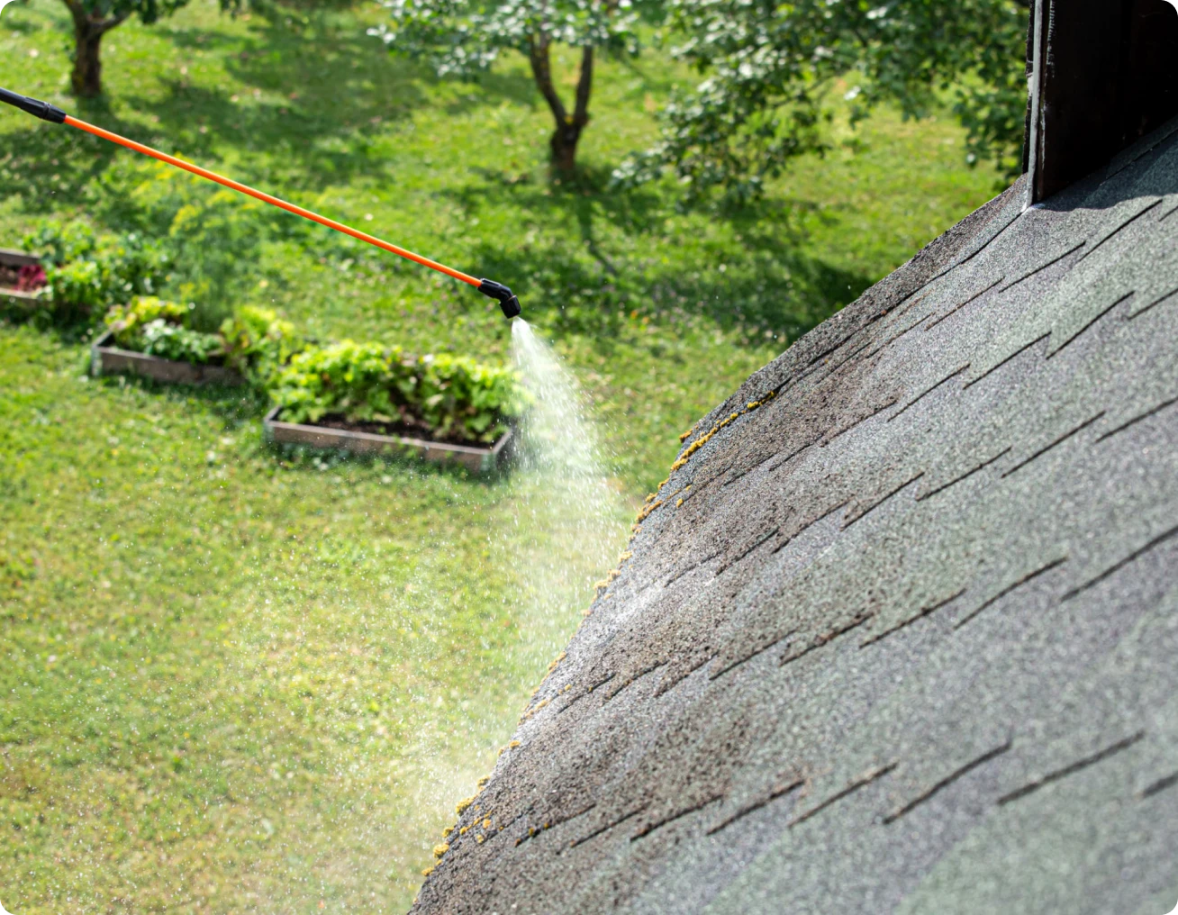 Roof cleaning with garden sprayer